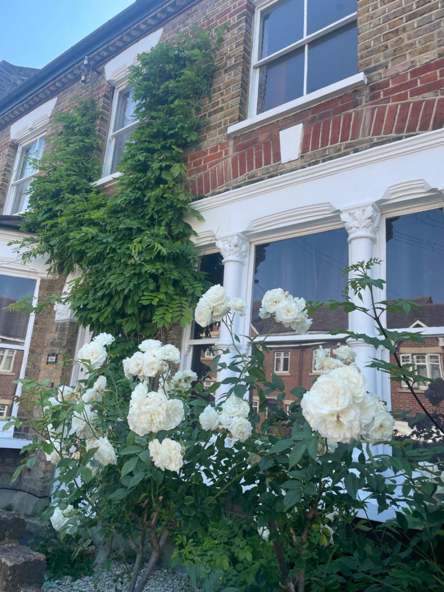 Traditional English 4 Bedroom Home In Greenwich Plumstead  Buitenkant foto